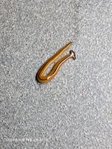 팜모닝 자유주제·자유게시판 게시글 이미지