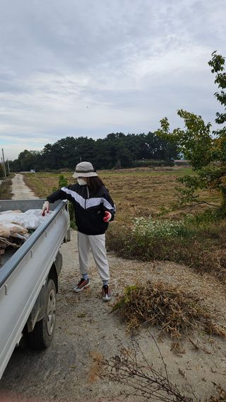 필라댄스농부님의 자유주제 · 자유게시판 작성글 사진