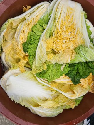 칠곡가산 최지훈님의 자유주제 · 자유게시판 작성글 사진