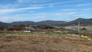 최동식님의 사과 · 영농일지 작성글 사진