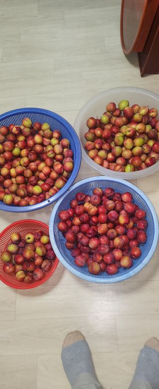 덕포킴님의 농사경력 최고의 순간을 알려주세요. · 참여글 작성글 사진