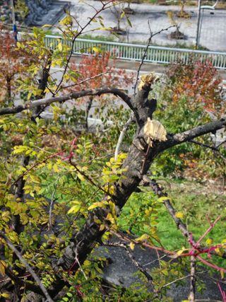 김용대님의 농사경력 최고의 순간을 알려주세요. · 참여글 작성글 사진