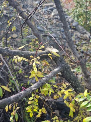 김용대님의 농사경력 최고의 순간을 알려주세요. · 참여글 작성글 사진