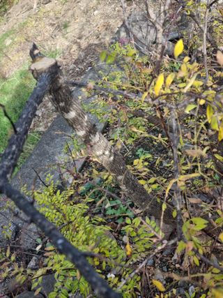 김용대님의 농사경력 최고의 순간을 알려주세요. · 참여글 작성글 사진