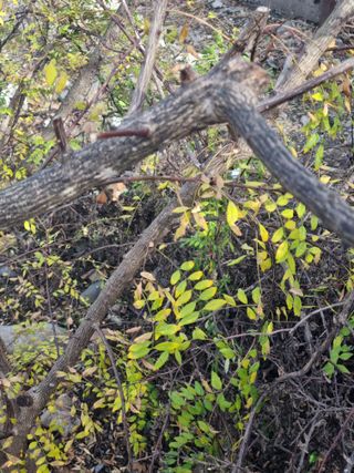 김용대님의 농사경력 최고의 순간을 알려주세요. · 참여글 작성글 사진