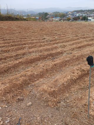김영복님의 자유주제 · 자유게시판 작성글 사진