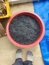 팜모닝 자유주제·자유게시판 게시글 이미지