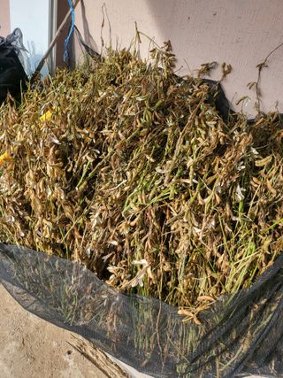 논산상월안정환님의 자유주제 · 자유게시판 작성글 사진