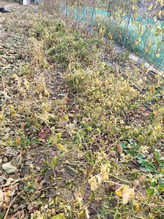 논산상월안정환님의 자유주제 · 자유게시판 작성글 사진