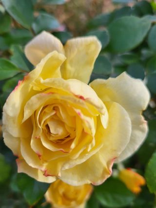 논산상월안정환님의 자유주제 · 자유게시판 작성글 사진