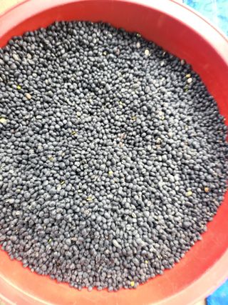 논산상월안정환님의 자유주제 · 자유게시판 작성글 사진