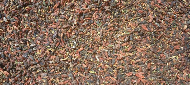 장터 상품 [자연 숙성발효 구기자] 썸네일