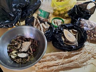 마평 농원님의 자유주제 · 자유게시판 작성글 사진