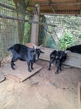 팜모닝 자유주제·자유게시판 게시글 이미지