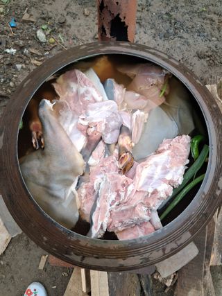 마평 농원님의 자유주제 · 자유게시판 작성글 사진