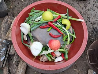 마평 농원님의 자유주제 · 자유게시판 작성글 사진