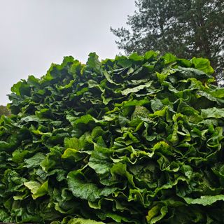 백용기님의 자유주제 · 자유게시판 작성글 사진