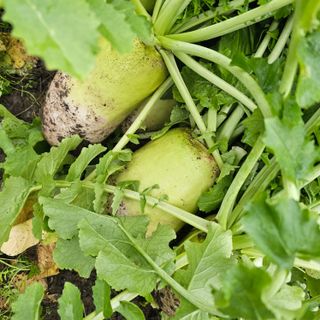 백용기님의 자유주제 · 자유게시판 작성글 사진