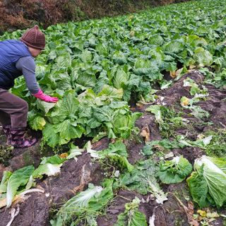백용기님의 자유주제 · 자유게시판 작성글 사진