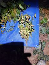 팜모닝 자유주제·자유게시판 게시글 이미지