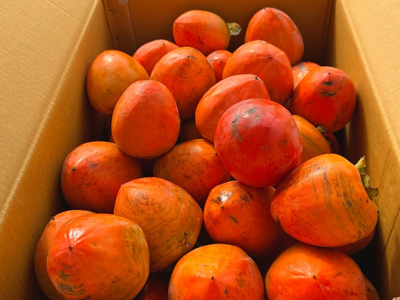 농부손녀님의 장터 판매 상품 [[고당도] 꿀뚝뚝 광양 대봉감 ] 첨부 사진