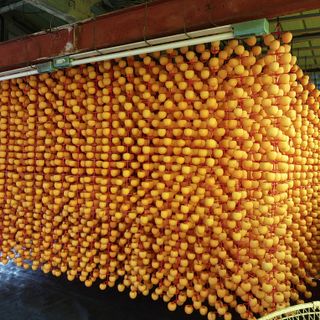 박수연님의 자유주제 · 자유게시판 작성글 사진