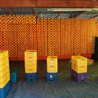 박수연님의 자유주제 · 자유게시판 작성글 사진