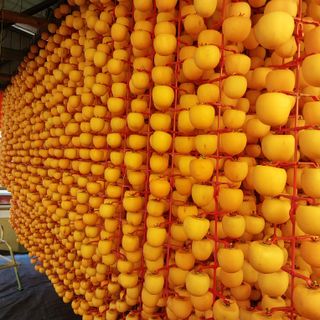 박수연님의 자유주제 · 자유게시판 작성글 사진