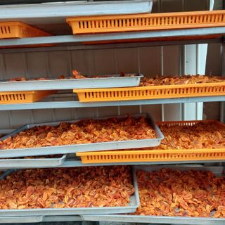 박수연님의 자유주제 · 자유게시판 작성글 사진