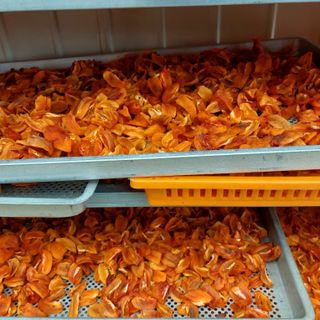 박수연님의 자유주제 · 자유게시판 작성글 사진