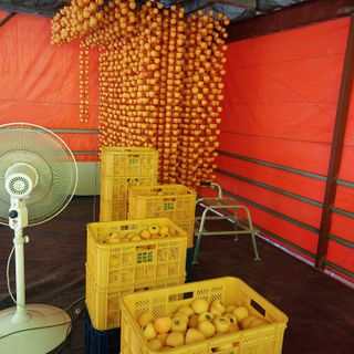 박수연님의 자유주제 · 자유게시판 작성글 사진