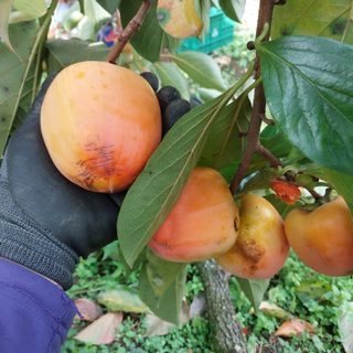 박수연님의 자유주제 · 자유게시판 작성글 사진