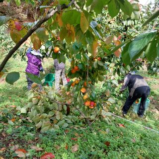 박수연님의 자유주제 · 자유게시판 작성글 사진