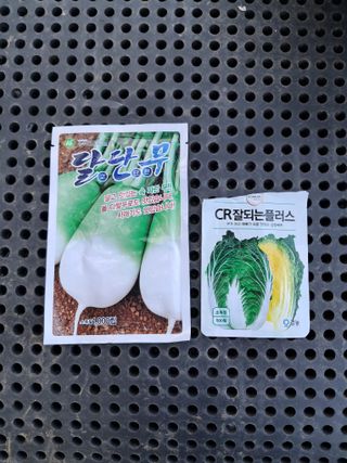 마평 농원님의 자유주제 · 자유게시판 작성글 사진