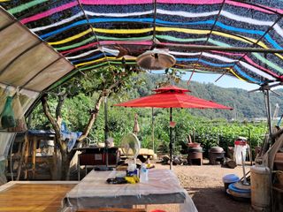 마평 농원님의 자유주제 · 자유게시판 작성글 사진