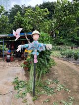 팜모닝 자유주제·자유게시판 게시글 이미지