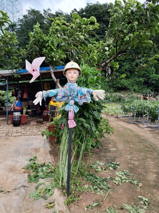 마평 농원님의 자유주제 · 자유게시판 작성글 사진