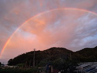 마평 농원님의 자유주제 · 자유게시판 작성글 사진
