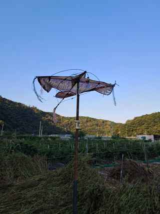 마평 농원님의 자유주제 · 자유게시판 작성글 사진