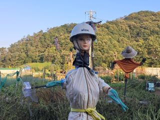 마평 농원님의 자유주제 · 자유게시판 작성글 사진