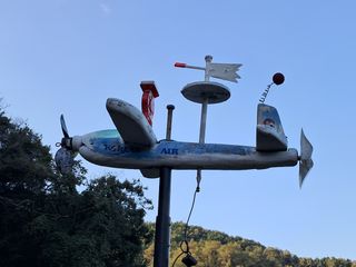 마평 농원님의 자유주제 · 자유게시판 작성글 사진