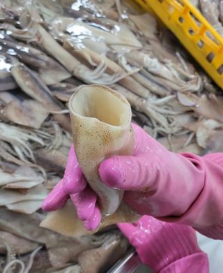 농수사님의 작성글 사진