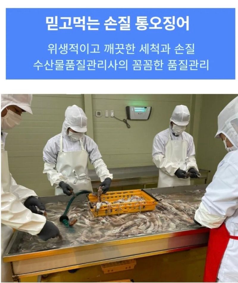 농수사님의 장터 판매 상품 [구룡포 손질 통오징어 2미(320g)] 첨부 사진