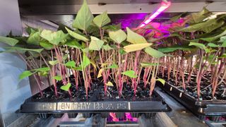 김동수님의 자유주제 · 자유게시판 작성글 사진