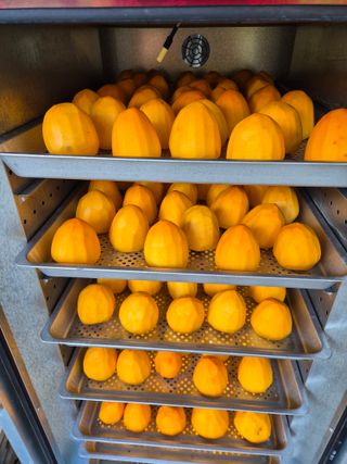 성장하는농부님의 자유주제 · 자유게시판 작성글 사진