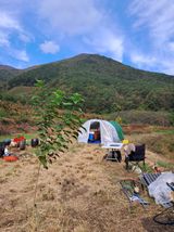 팜모닝 자유주제·자유게시판 게시글 이미지