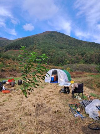 고산국토사랑풀뽑기님의 자유주제 · 자유게시판 작성글 사진