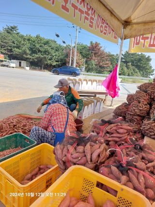 농촌이백억농원^^님의 농사경력 최고의 순간을 알려주세요. · 참여글 작성글 사진