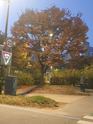 허굴산농장님의 자유주제 · 자유게시판 작성글 사진