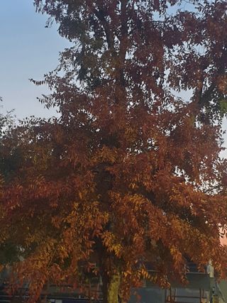 허굴산농장님의 자유주제 · 자유게시판 작성글 사진